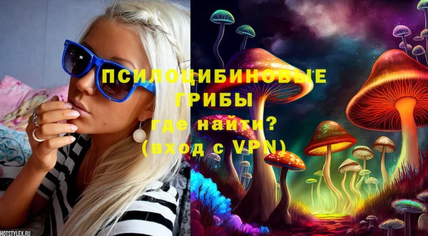 тгк Алзамай