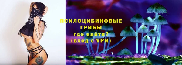 тгк Алзамай