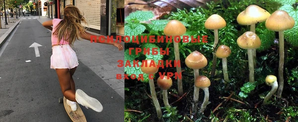 молекула духа Алексеевка