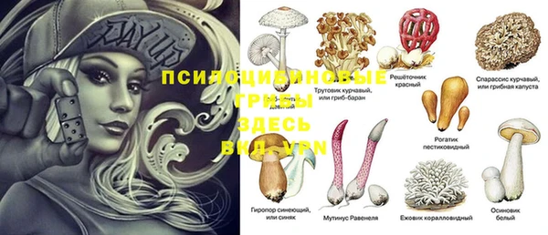 гидропоника Абаза