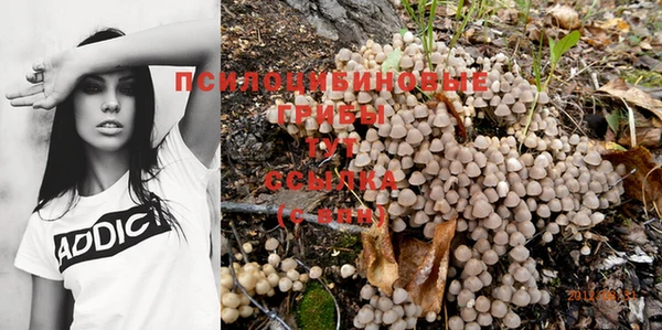 тгк Алзамай